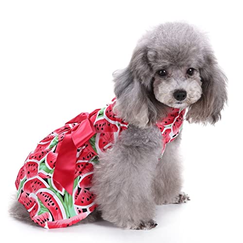 SUSOSU Haustier Kleidung Hunderock Wasserdruck Hundekleidung Rock Kleider für Kleine Mädchen Hunde Niedliche Haustierkleidung,Red 4,L