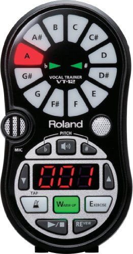 Roland VT-12 schwarz Vocal Trainer
