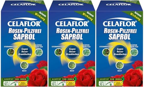 3 X 100 ml Substral Celaflor®Rosen-Pilzfrei Saprol Konzentrat