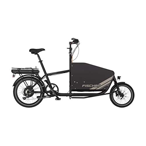 FISCHER Fahrräder E-Bike, 9 Gang Shimano Sora Schaltwerk, Kettenschaltung, Heckmotor 250 W
