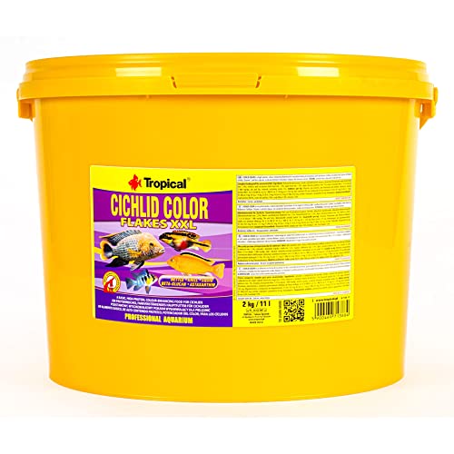 Tropical Cichlid Color Flakes - farbverstärkendes Flockenfutter mit Beta-Glucan, 1er Pack (1 x 11 l)