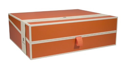Semikolon (352588) Dokumentenbox orange (orange) - Aufbewahrungs-Box für Dokumente im A4 Format - geräumige Box im Format 31,5 × 26 × 10 cm