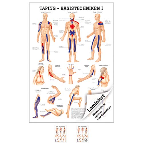 Sport-Tec Taping Basistechniken I Lehrtafel Anatomie 100x70 cm medizinische Lehrmittel
