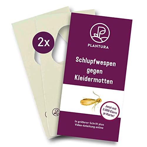 Plantura Schlupfwespen gegen Kleidermotten, Trichogramma, wirksam & nachhaltig Motten bekämpfen, 6 Lieferungen mit jeweils 2 Karten