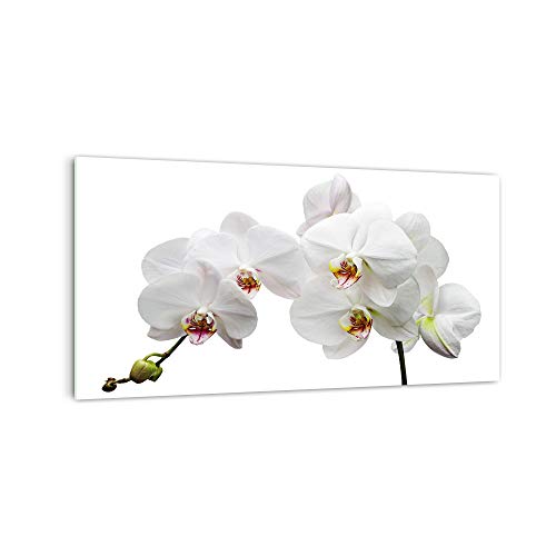 DekoGlas Küchenrückwand 'Weiße Orchidee I' in div. Größen, Glas-Rückwand, Wandpaneele, Spritzschutz & Fliesenspiegel