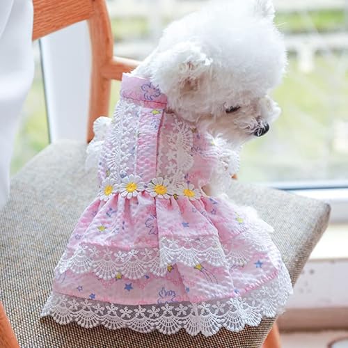 Hundekleidung Hundekleidung Mädchen Hundekleider Spitzenrand Sommer Frühling Tutu Rock for Kätzchen süße rosa Prinzessin Katze Haustierkleidung (Color : Pink, Size : L)