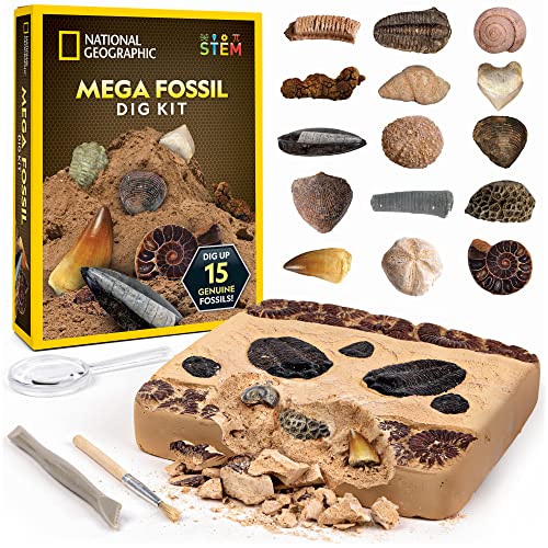 NATIONAL GEOGRAPHIC Mega Fossil Dig Kit - Ausgrabung von 15 echten prähistorischen Fossilien, Kinder-Fossilien-Set, pädagogisches Spielzeug, großartiges (exklusiv bei Amazon)