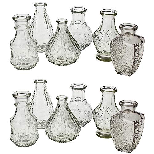 12 x Vasen aus Glas Dekovasen Glasvasen Dekogläser Deko Glas Vintage Glasflaschen Größe 12-14 cm/ 12 St. / 6 Modelle