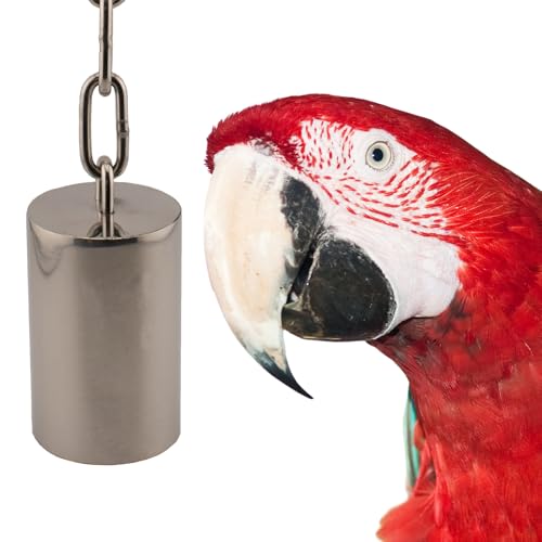 Super Bird Creations SB1243 Edelstahl Rohrglocken Vogelkäfig Zubehör zur Klangbereicherung ideal für Amazonen, Graupapagus, Kakadus und Aras (groß)