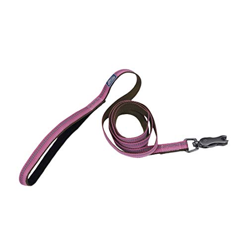 K9 Explorer Reflective Dog Leash Scissor Snap Rosebud 5/8 Inch x 6 Feet