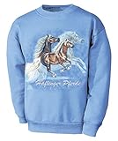 Fan-O-Menal Textilien Kinder Sweatshirt mit Pferdemotiv - Haflinger Asterix - 08668 blau - ©Kollektion Bötzel - Gr.110-164 Größe 152/164