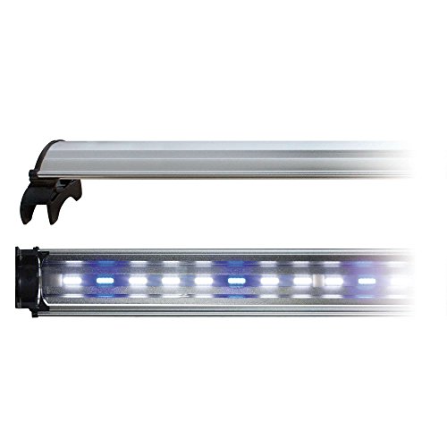 ICA cld150d COB LED Lampe mit Licht weiß/blau