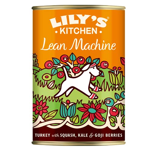 Lily's Kitchen Kraftpaket Nassfutter für Hunde (6 x 400g)