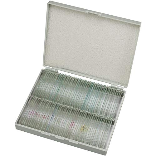 Bresser Dauerpräparate für Mikroskop (100 Stück), vorgefertigte und konservierte Präparate zu verschiedenen Themen in einer edlen Holzbox