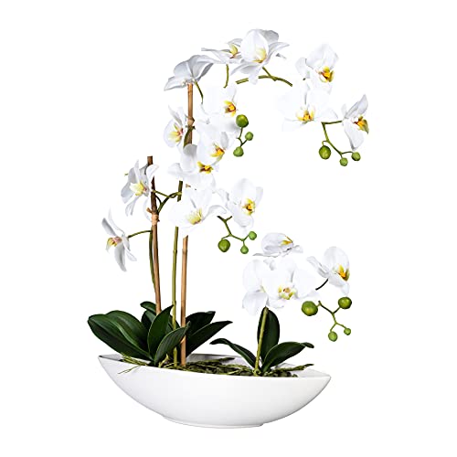Madison Lifestyle Orchidee im Keramik-Topf | 60 cm hoch | Kunstpflanzenarrangement | Deko Highlight für zu Hause, Camping oder als Geschenk | Phalaenopsis real Touch Weiß