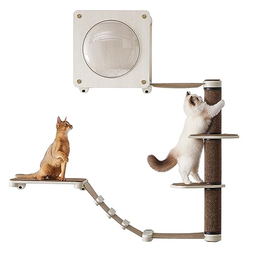 Feandrea Clickat Oasis Kletterwand Katzen, Katzenmöbel 5er Set, Katzenbrett, Hängematte, Kratzsäule, Katzenhöhle, Teile austauschbar waschbar, haferflockenbraun-kaffeebraun PCK900T66