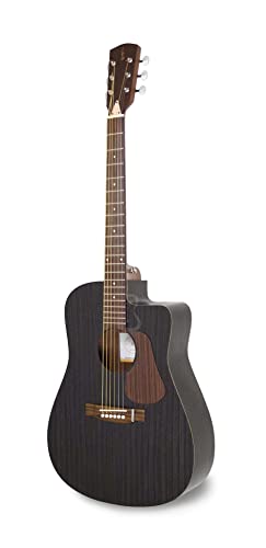 APC Instruments WG100 BLK CW Akustische Gitarre