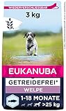 Eukanuba Welpenfutter getreidefrei mit Fisch für große Rassen - Trockenfutter ohne Getreide für Junior Hunde, 3 kg