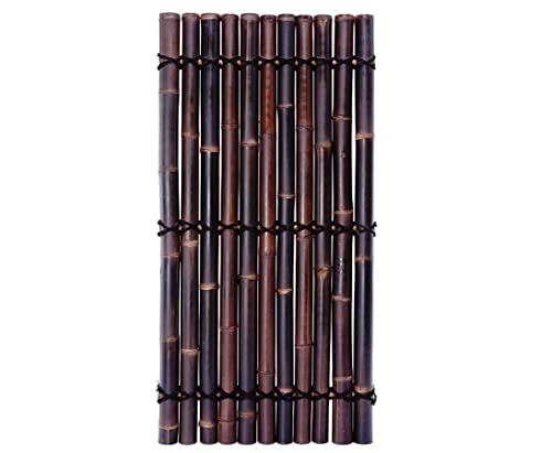 Bambuswand Apas19 180x90cm mit schwarzen Bambusrohren Durch. 8 bis 10cm