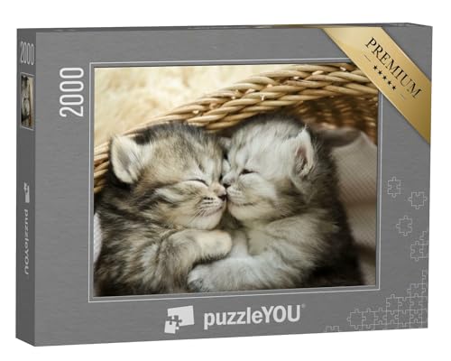 puzzleYOU: Puzzle 2000 Teile „Zwei niedliche schlafende Tigerkätzchen“