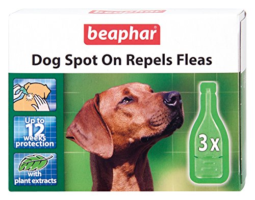 Beaphar Hunde Spot-on 12 Wochen Schutz (6 Stück)