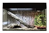 Lucky Reptile Schlangen Starter Kit 80 cm - hochwertiges Schlangen Terrarium Komplettset für die Aufzucht und Dauerhaltung von kleinen Schlangen - Starter Set Schlangen für Einsteiger in schwarz