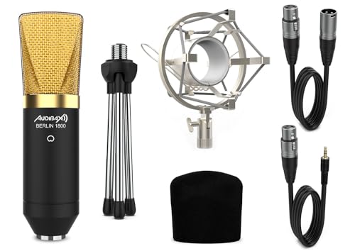Audibax Berlin 1800 Gold Pack | Kondensator-Mikrofon | für Aufnahmestudio- oder Direkt-Studio | Polar Cardioid | große Membran | Kit inkl. Spinne, Windschutz, Stativ und Kabel