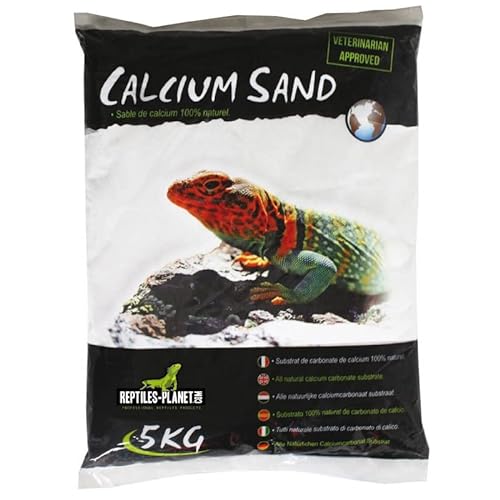 Reptiles Planet Katzenstreu Sand Calcium-Terrarium Kalzium Sand Artic weiß 5 kg