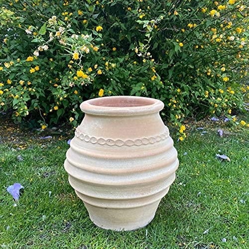 Palatina-Keramik | kleine Terracotta Amphoren | winterhart und witterungsbeständig | 35 cm | Pflanzgefäß Blumentopf für Balkon, Garten oder Terrasse, Agave