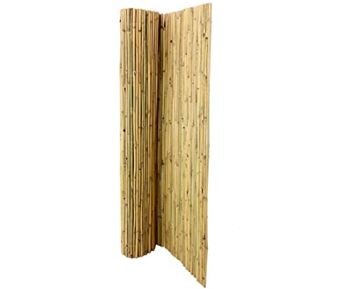 Bambus Matte Bali, extrem stabil, 200 x 300 cm, mit Draht durchbohrt und verbunden von Bambus-Discount