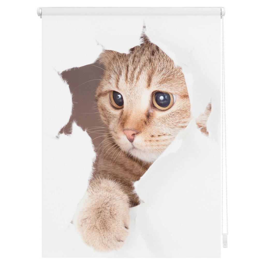 Verdunkelungsrollo Katze weiß B/L: ca. 70x150 cm 3