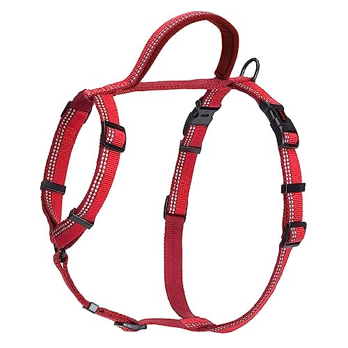 HALTI Walking Hundegeschirr – Mit weichem Neopren-gefüttertem Griff, 5 verstellbare Riemen und 3M-Reflektorgewebe. Geeignet für große Hunde (Größe L, Rot)
