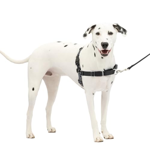PetSafe Easy Walk Hundegeschirr, No Pull Hundegeschirr, perfekt für das Training der Leine & des Geschirrs – verhindert das Ziehen und Ersticken von Haustieren auf Spaziergängen – Medium/Large, Anthrazit/Schwarz