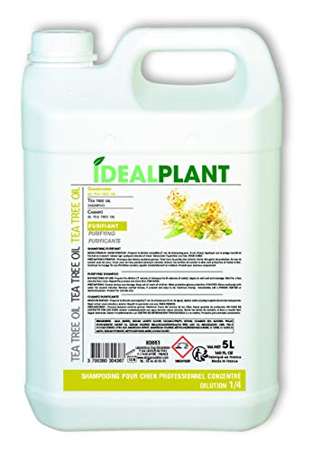 Shampooing Tea Tree Oil 5 l Ideal Pflanzen