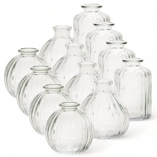 12 x Vasen aus Glas im Vintage-Look - H 8-10 cm - Kleine Vasen für eine stilvolle Tischdeko - Kleine Blumenvasen - Tischvasen klein