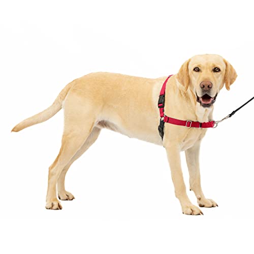 PetSafe Easy Walk-Geschirr, Anti-Zieh-Hundegeschirr, Verringert Würgen und Husten, Mit 1,8 M Leine, Größe L, Rot