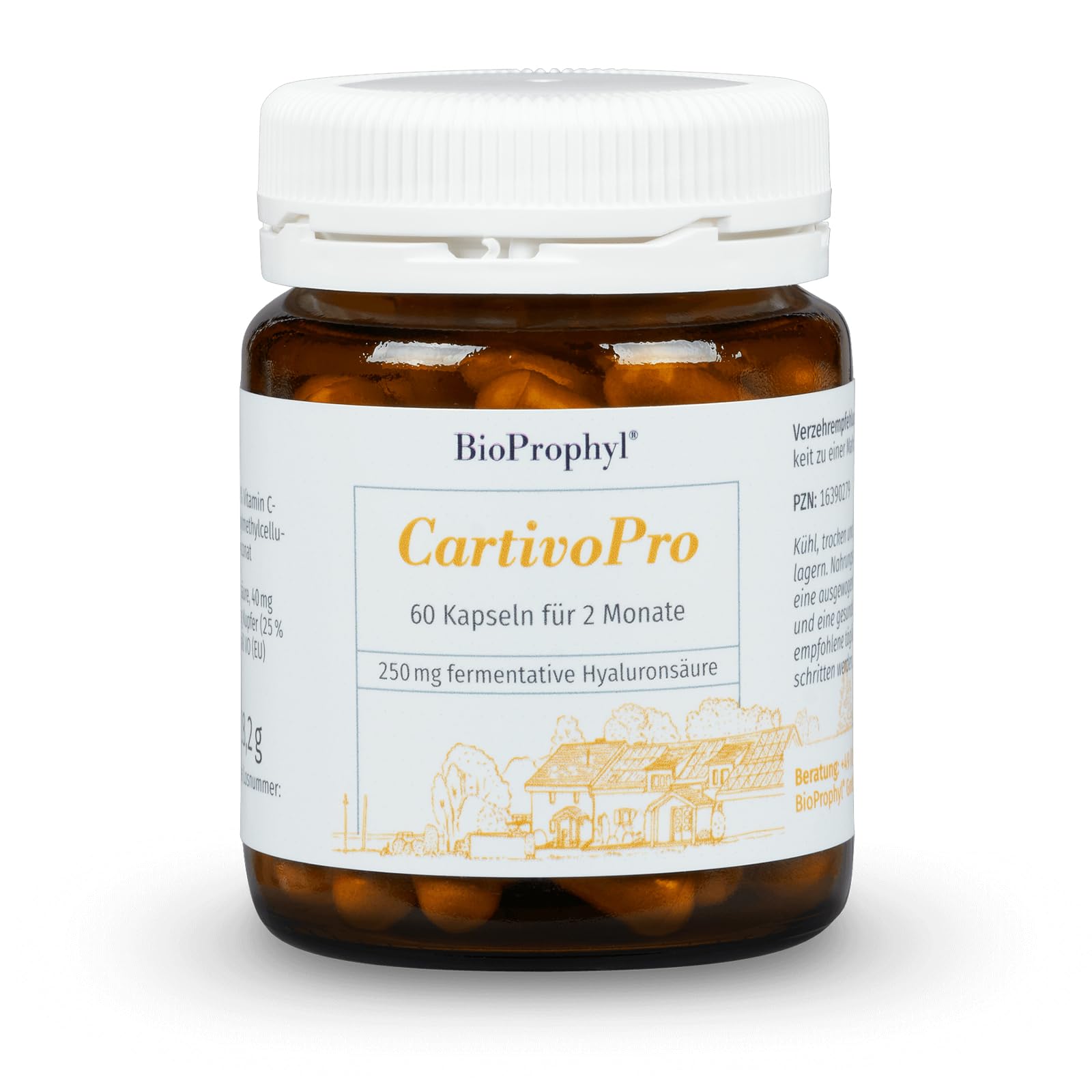 BioProphyl®CartivoPro 250 mit 250 mg Hyaluronsäure, Kupfer und Vitamin C für Knochen, Knorpel, Haut und Gelenke - 60 pflanzliche Kapseln für 2 Monate