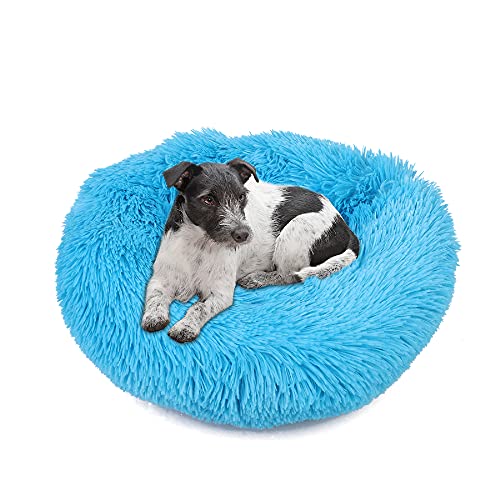 wuuhoo® Hundebett Fluffy 50cm Donut für kleine und mittelgroße Hunde - weiches Haustierbett, waschbares Hundekörbchen für Hund oder Katze, Flauschiger Hundekorb blau