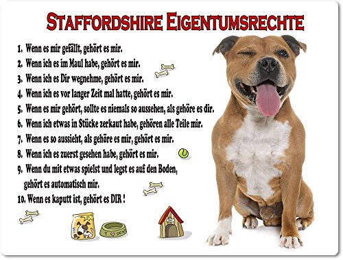 Blechschild / Warnschild / Türschild - Aluminium - 30x40cm "Eigentumsrechte" Motiv: American Staffordshire Terrier braun sitzend - 03