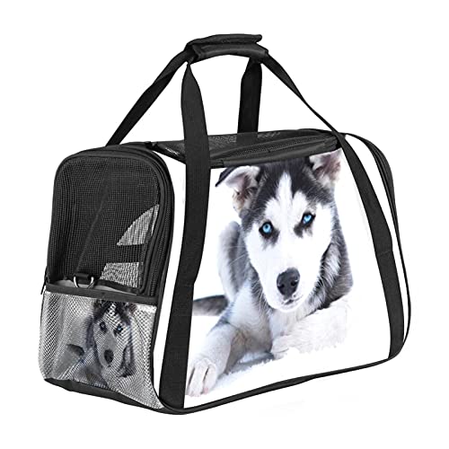 Xingruyun Hundetragetasche Süßer Husky Katzentragetasche Faltbare Transporttasche Atmungsaktiv Haustiertasche Für Katzen Und Hunden 43x26x30 cm
