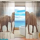 yibaihe Fenster Vorhänge, Gardinen Platten Fenster Behandlung Set Voile Drapes Tüll Vorhänge Wild Elefant 140 W x 213 L cm 2 Einsätze für Wohnzimmer Schlafzimmer Girl 's Room