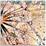 ARTland Glasbilder Wandbild Glas Bild einteilig 30 x 30 cm Quadratisch Innere Ruhe Wellness Abstrakt Pflanzen Blumen Pusteblume Dandelion Regen Tau Tropfen S8WZ