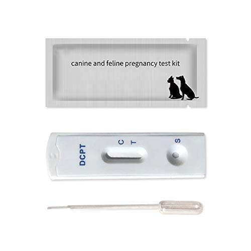 Pet Schwangerschaftstest Kit, Teststreifen, Zuverlässige Und Schnelle Früherkennung Von Schwangerschaft, Hund Frühen Schwangerschaftstests, Katze Schwangerschaft Test Kit