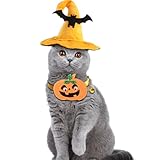 changle Halloween-Zubehör-Set für Hunde und Katzen, mit Fledermaus-Hut, Kürbis-Halsband
