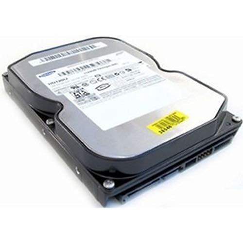 200 GB SATA II SP2004C interne Festplatte