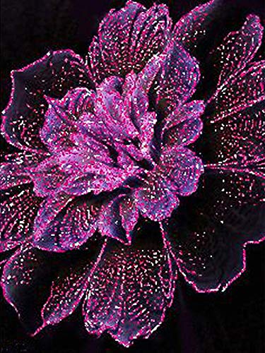 Nicole Knupfer DIY Diamant Painting Kit 5D Strass Diamond Painting Rose Blumen Bilder Full Bohrer Handgemachtes Wanddekoration (1,60x80cm)