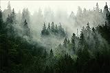 Muralo Fototapete Wald im Nebel 120 x 180 Vlies Naturgebiet Blick Flora und Fauna - 167720496