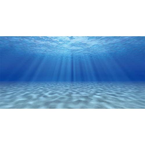 AWERT Hintergrund für Aquarien, Motiv: Unterwasserwelt, 183 x 61 cm, robuster Polyester-Hintergrund