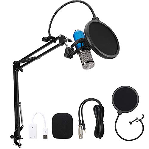 Xinwoer Mikrofon-Nieren-Aufnahmemodus Metallmikrofon-Netzhauben-Plug-and-Play-Aufnahmemikrofon für feine Verarbeitung zur effektiven Reduzierung von Umgebungsgeräuschen