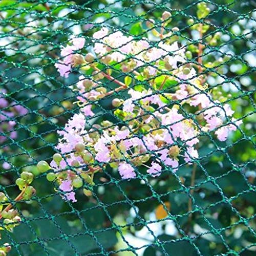rg-vertrieb Teichnetz Vogelschutznetz ca. 25g/m² Laubnetz Gartennetz Pflanzenschutznetz Maschenweite 20x20mm oder 30x30mm 9 Größen (10x25 m)